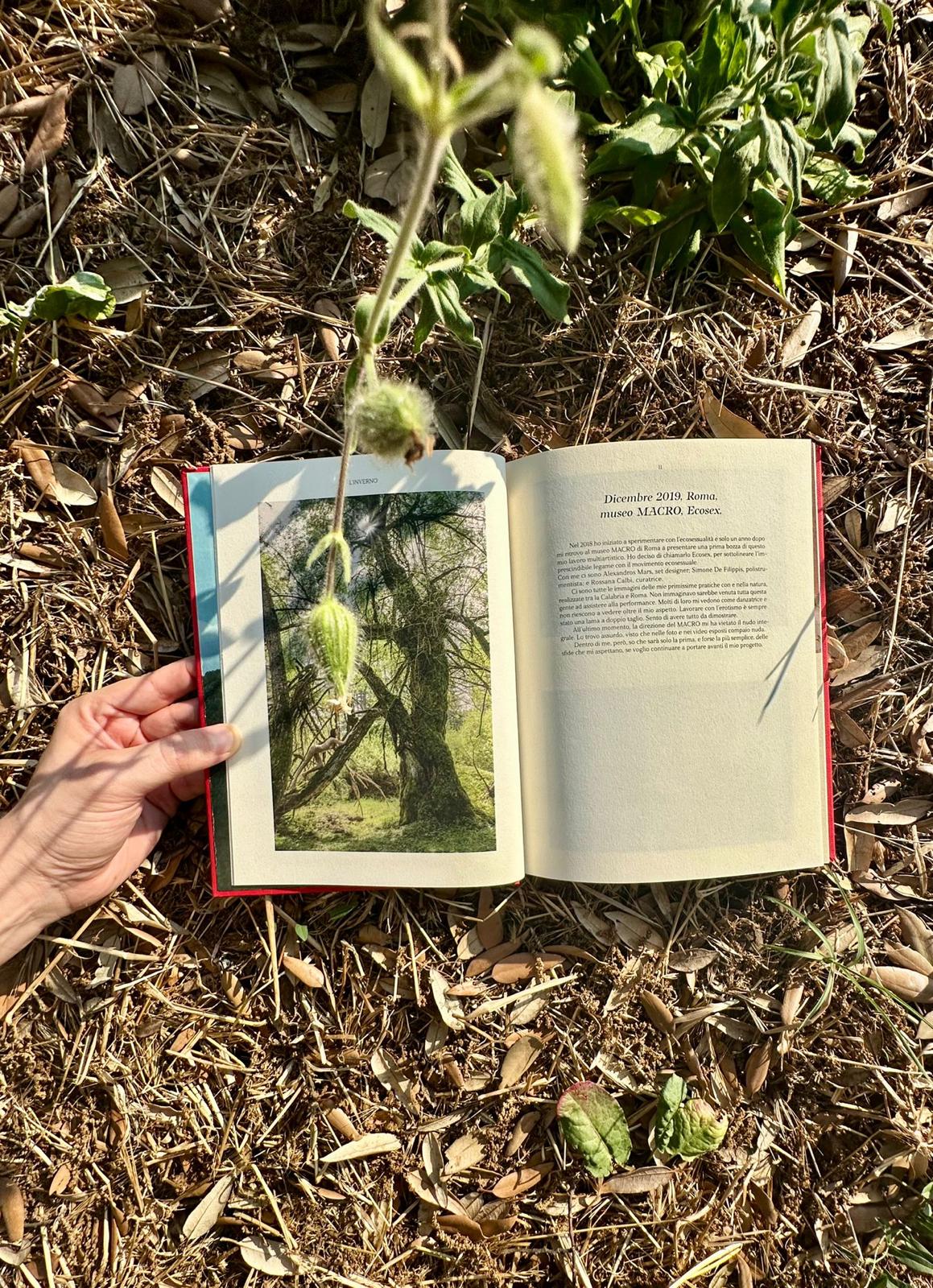 ecose-libro-13